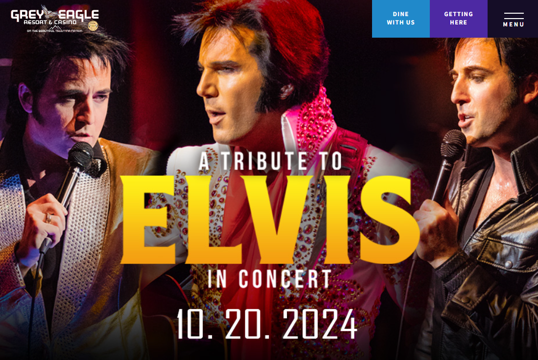 A Tribute to Elvis in Concert